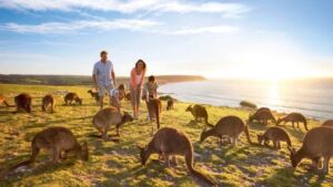 beauty of australia